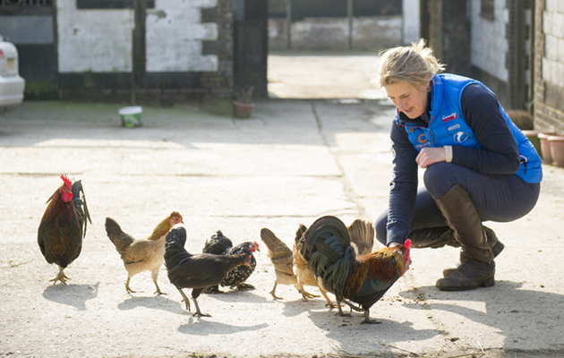 Time for a few minutes&rsquo; chat with the chickens