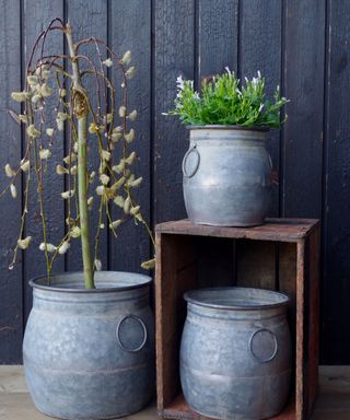 selection of galvanised metal planters