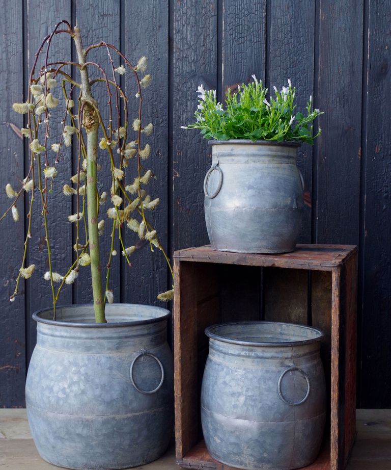 Winter planter ideas 12 coldweather containers that will look good