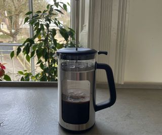 OXO French Press on the countertop with a full carafe
