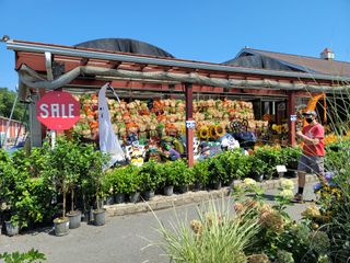 Samsung Galaxy Note 20 Ultra review camera