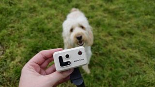 Enabot ROLA Pet Tracker review