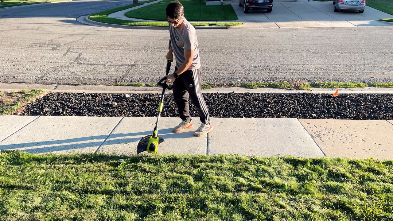 Sun Joe 24V-ST14 Cordless String Trimmer being tested in writer's home