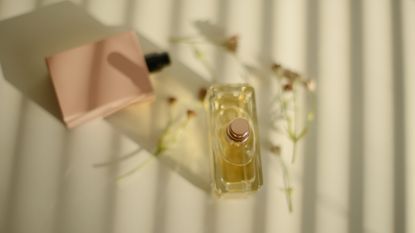 How to choose the right perfume: 5 essential tips