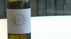 Video-Aline-Baly-of-Chateau-Coutet-talks-about-Opalie-Decanter.png