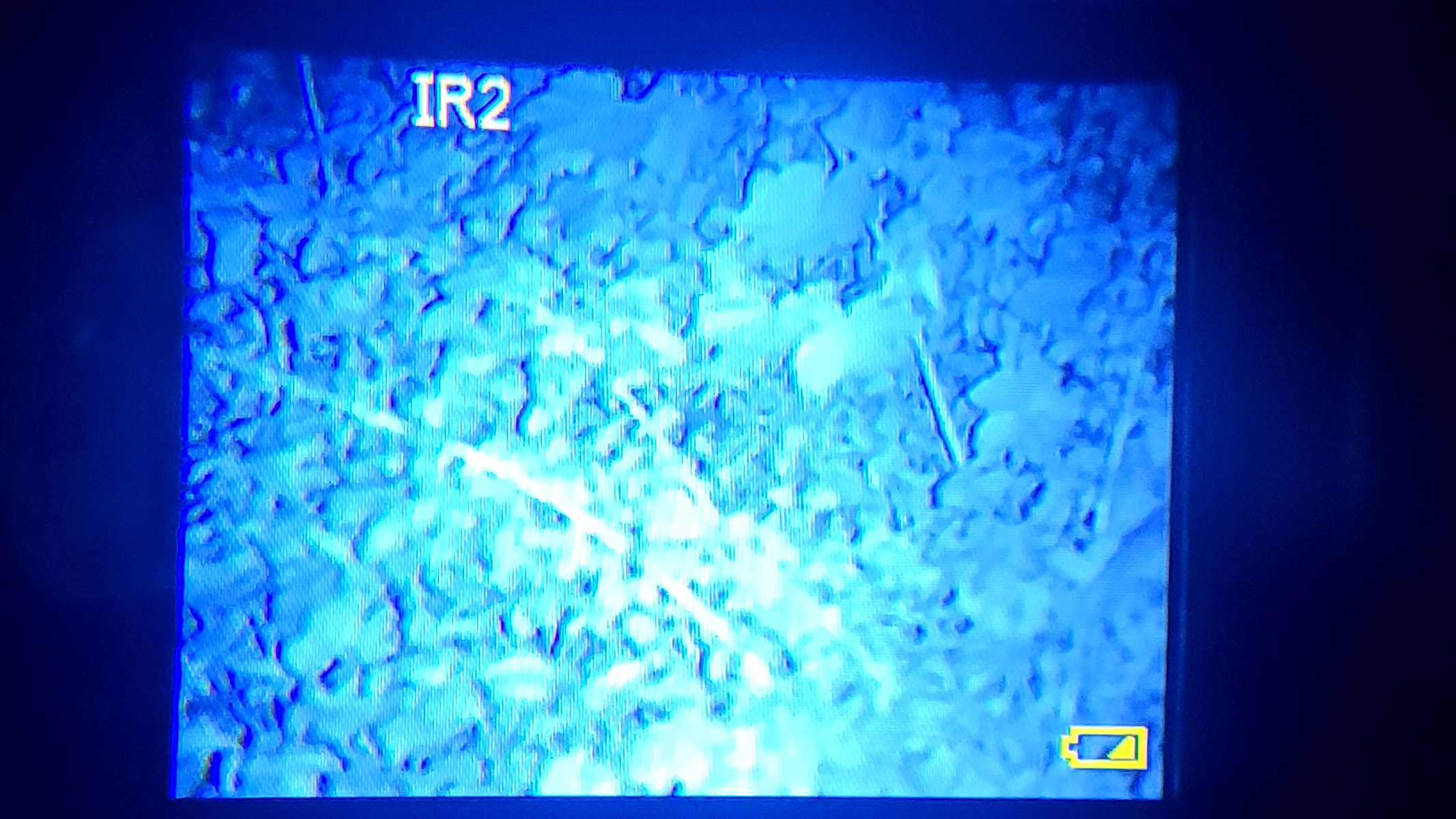 A view through the screen of the Nightfox 100V looking at leaves during pitch black conditions