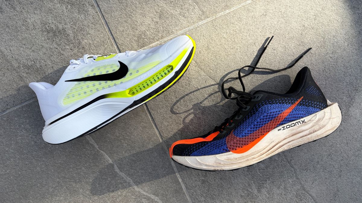 Nike Pegasus Plus 2 and Nike Pegasus Plus