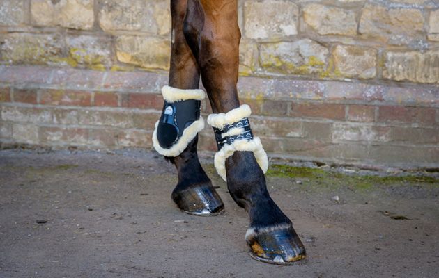 Veredus STS Carbon Gel Vento boots review