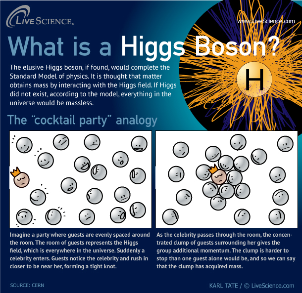 Rusten Byblomst hovedvej What the Higgs Boson Does (Infographic) | Live Science