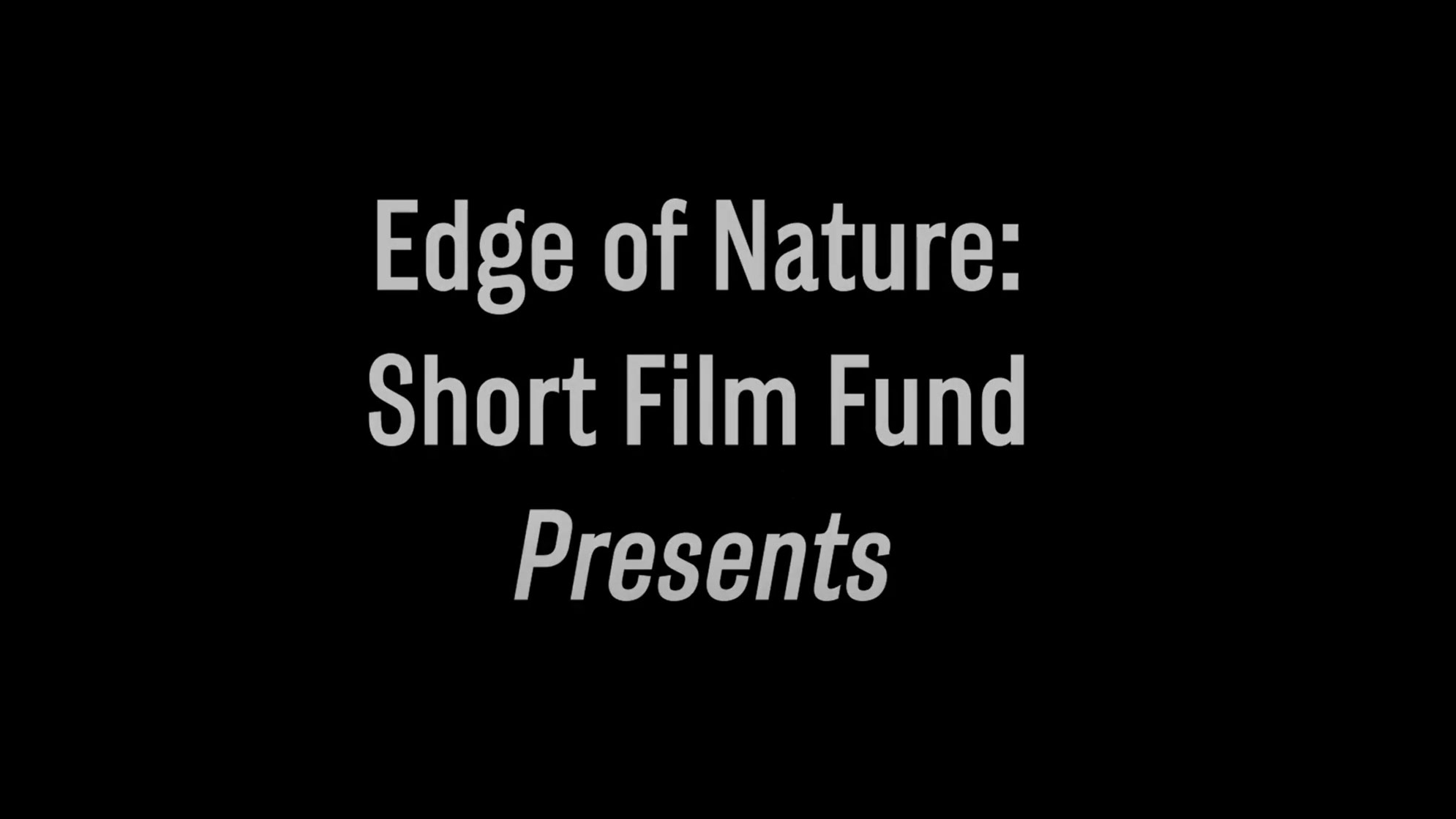 'Would You Still Love Me If I Was A Sticky Frog?', 'The Pangolin In My Bedroom,' and other winners of The Edge of Nature film contest