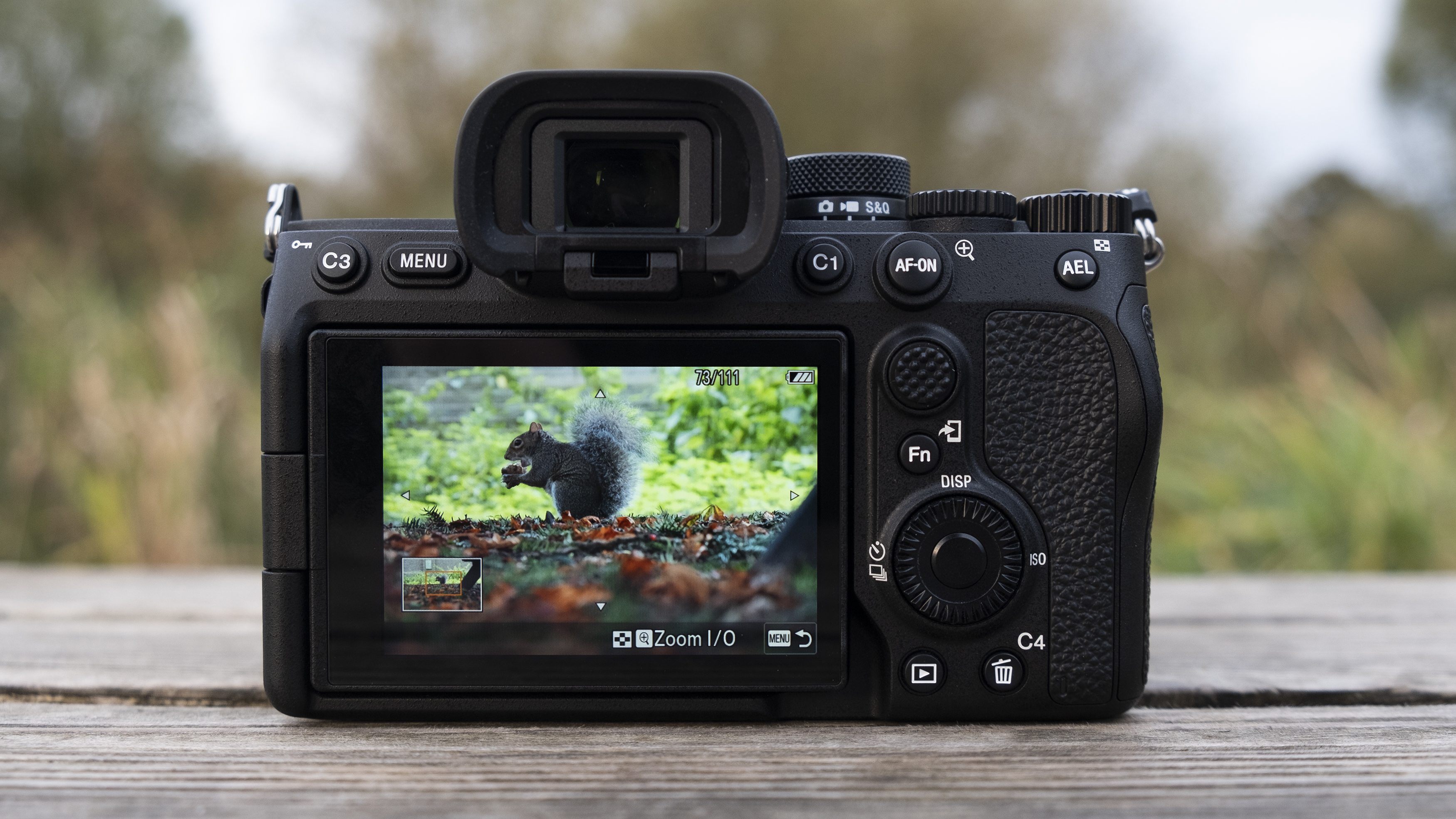 The Sony A7 IV's rear screen showing a photo of a squirrel