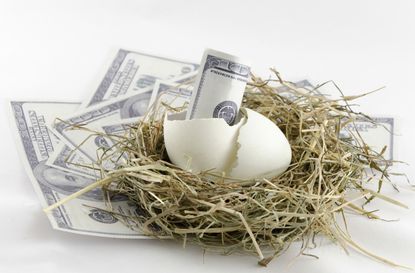 money in nest egg