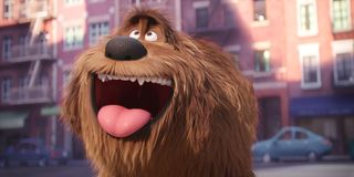 Duke, voiced by Eric Stonestreet in Secret Life of Pets