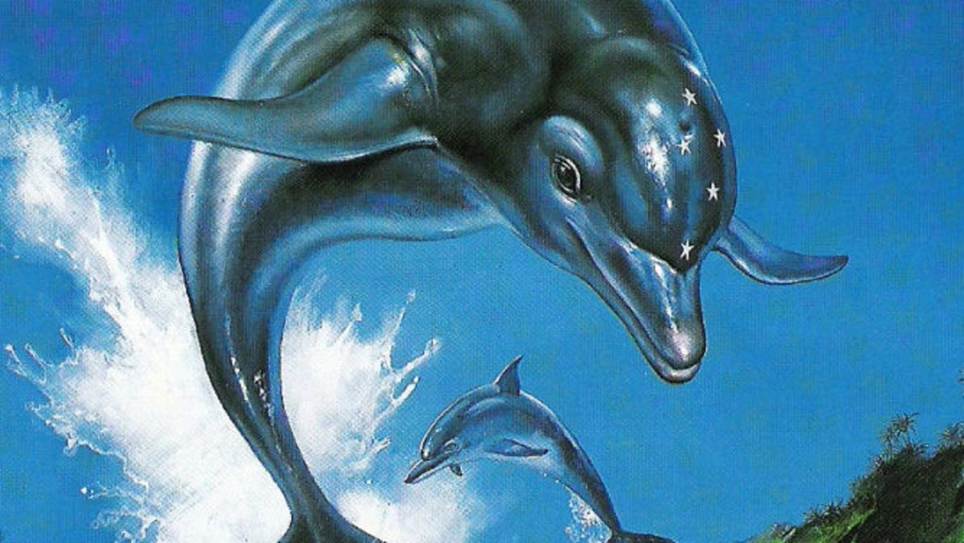 Ecco the Dolphin