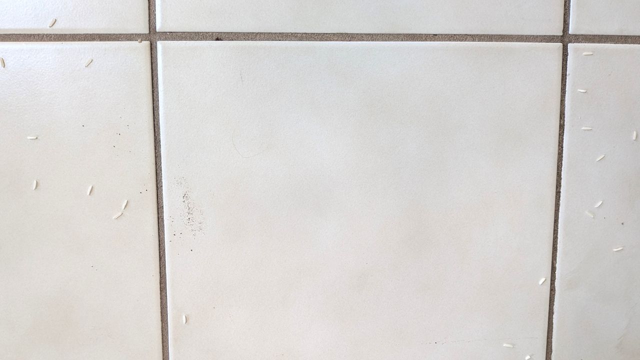 Coffee grounds on floor after second pass with Shark PowerDetect Speed vacuum cleaner