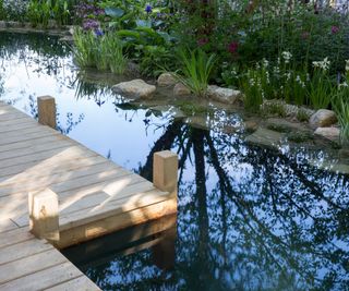 Modern contemporary garden with a small pond natural swimming pool water feature wooden deck