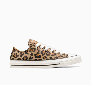 Chuck Taylor All Star Leopard Schuhe