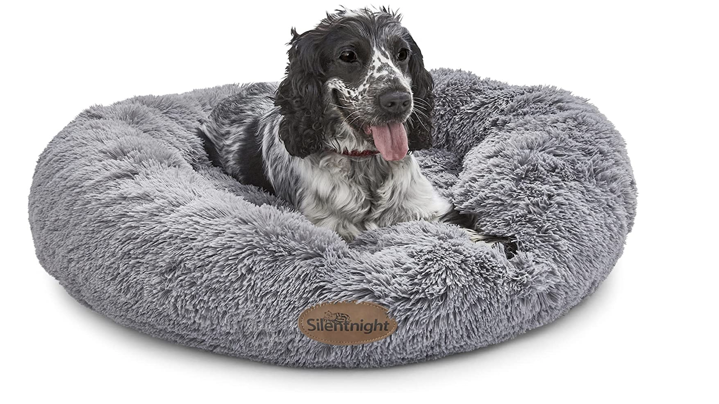Spaniel in calming dog bed