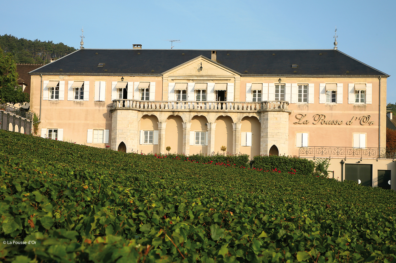 Domaine de la Pousse d'Or