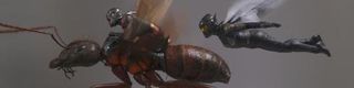Ant-Man and the Wasp flying through the air in Ant-Man and the Wasp