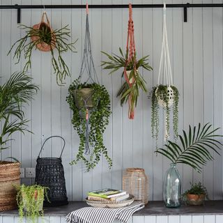 white panel wall with plants hanging