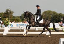 Uthopia.jpg