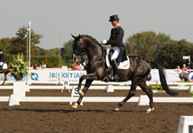 Uthopia.jpg