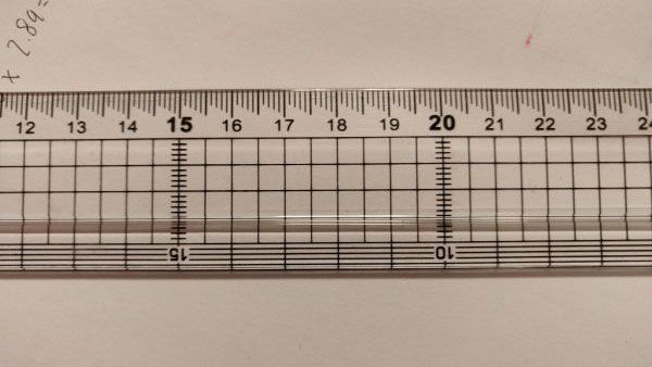 life scale ruler