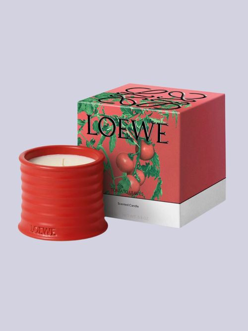 Loewe Small Tomato Leaves Candle 