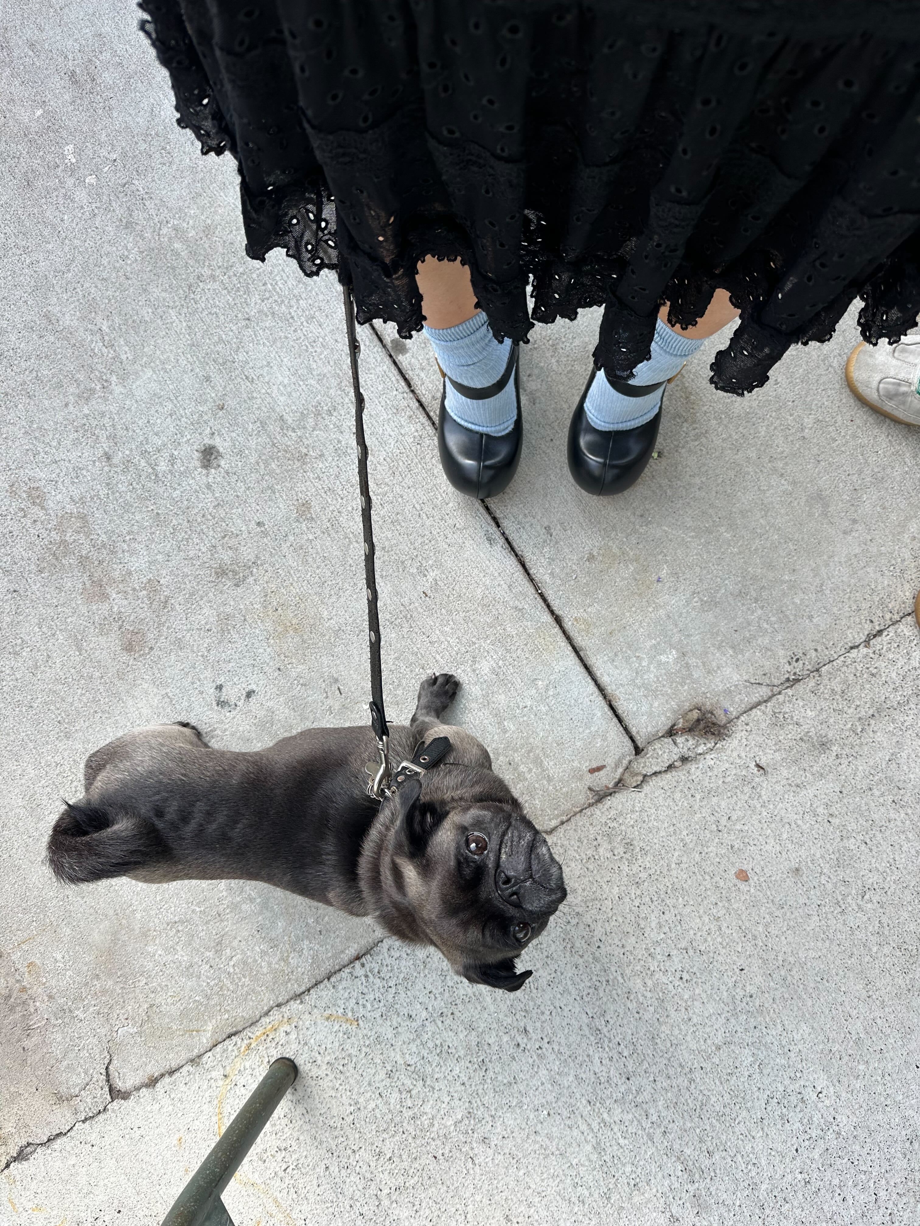 Marc Jacobs Doll Pumps Selfies