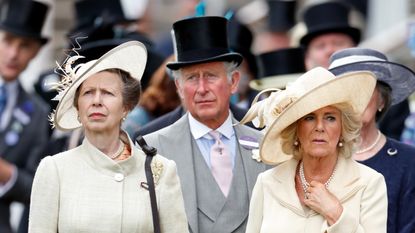 Princess Anne and Duchess Camilla's new relationship