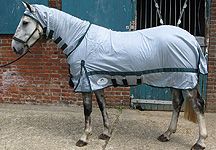 vespa-fly-rug.jpg