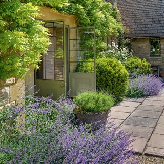 Stone house with lavender bushes and climbing plants
