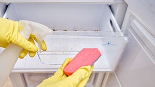 cleaning the freezer drawers with soapy water and a sponge