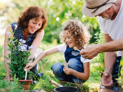 Child And Two Adults Planting Flowers In The Garden