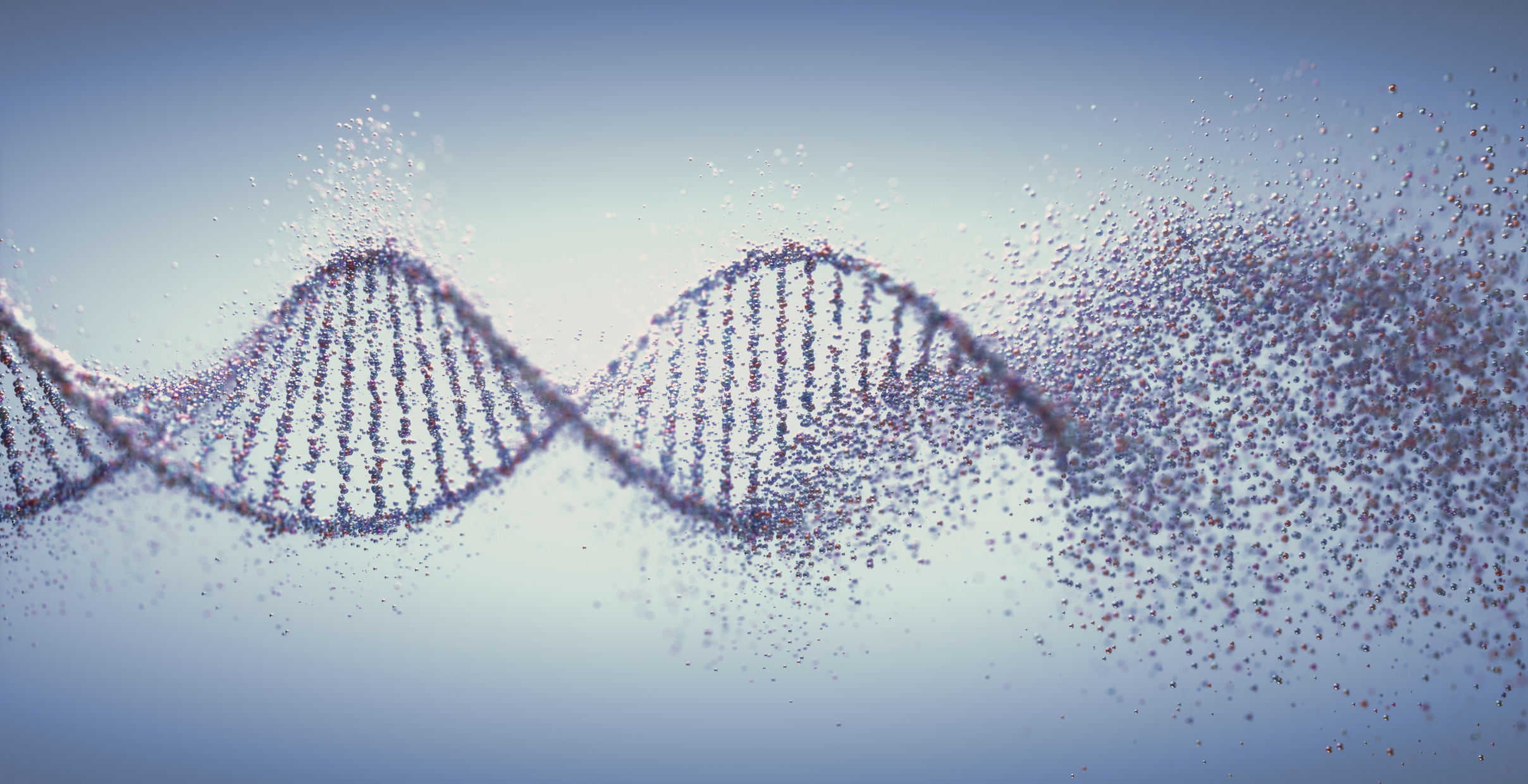 conceptual illustration shows dna strand dissolving at one end