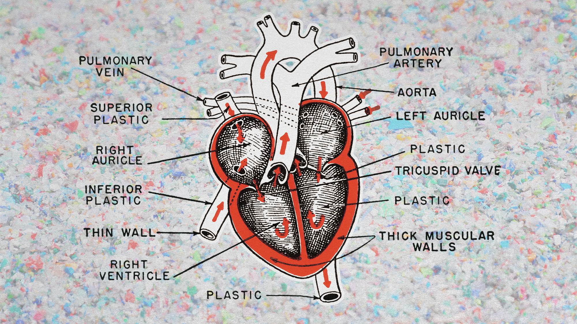 Photo and illustrative collage of a diagram of a heart on a background of shredded plastic. The diagram descriptions show plastic in many parts of the heart diagram.