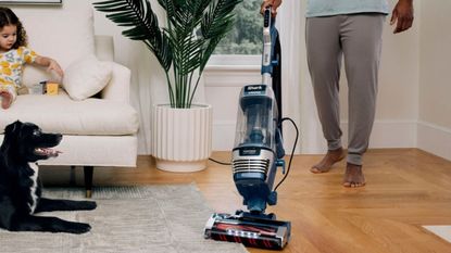 one of the best upright vacuums, A Shark Stratos Upright Vacuum vacuuming hardwood floors and an area rug