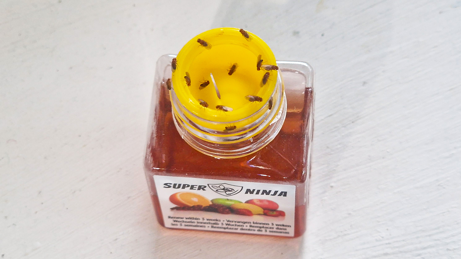 Super Ninja fruit fly trap on a white window ledge