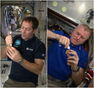 French astronaut Thomas Pesquet and Russian cosmonaut Oleg Novitskiy compete in a holiday cookie-decorating contest aboard the International Space Station.