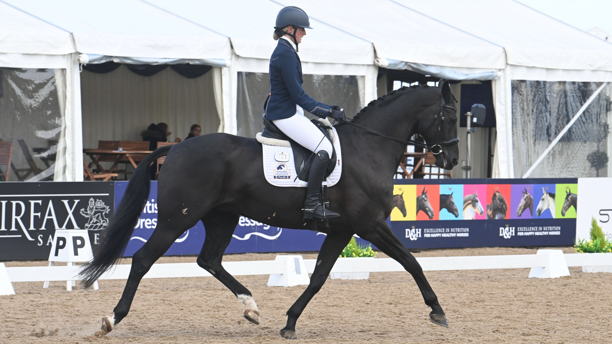 Laura Scott in a navy jacket and hat riding her black horse CEI Summer Days across the diagonal in trot at the National Dressage Championships.