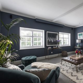 dark blue wall with white roof top and grey sofa with carpet flooring