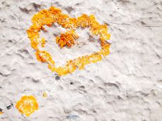 yellowstone to yukon