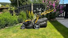 petrol mower in action on a sloped lawn