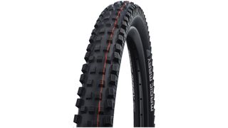 Schwalbe Magic Mary Radial gravity tire studio shot