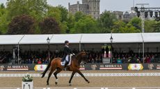 Nip Tuck Windsor