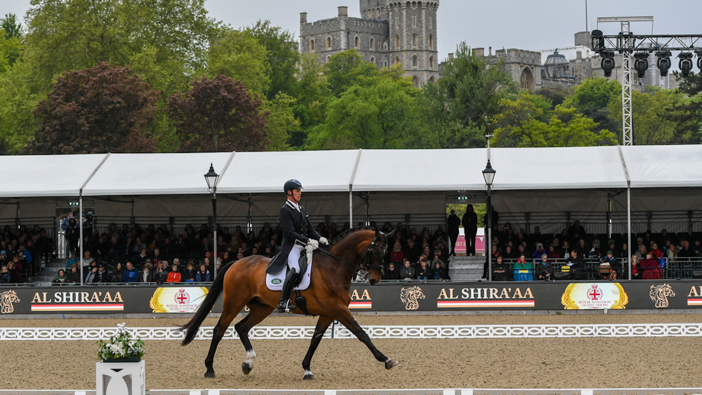 Nip Tuck Windsor