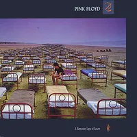 14. A Momentary Lapse Of Reason (EMI, 1987)