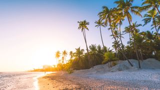 Playa Limón, Samaná, Dominican Republic