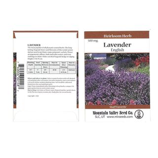 Common English Lavender Flower Garden Seeds